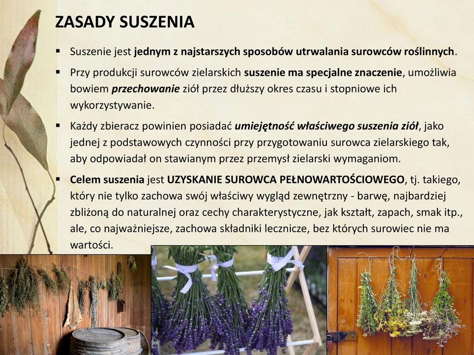 Każdy zbieracz powinien posiadać umiejętność właściwego suszenia ziół, jako jednej z podstawowych czynności przy przygotowaniu surowca zielarskiego tak, aby odpowiadał on stawianym przez przemysł