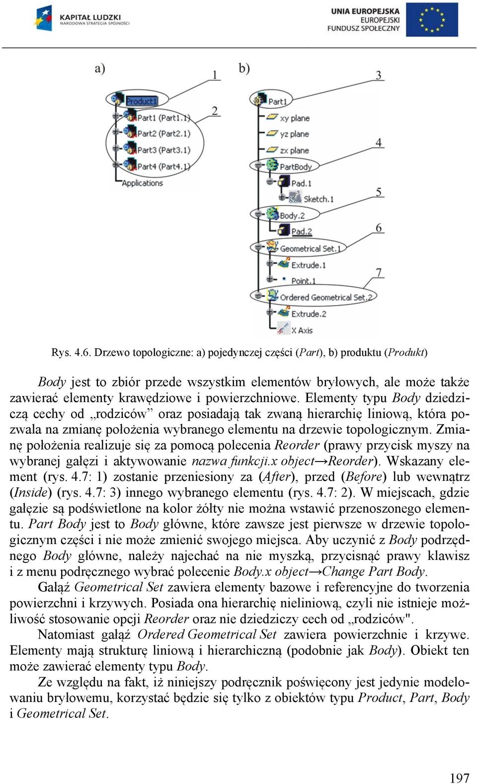 Elementy typu Body dziedziczą cechy od rodziców oraz posiadają tak zwaną hierarchię liniową, która pozwala na zmianę położenia wybranego elementu na drzewie topologicznym.