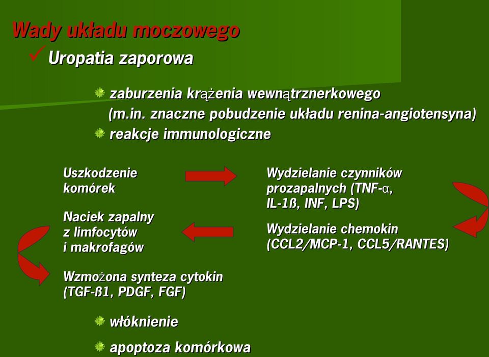 zapalny z limfocytów i makrofagów Wzmożona synteza cytokin (TGF-ß1, PDGF, FGF) włóknienie apoptoza