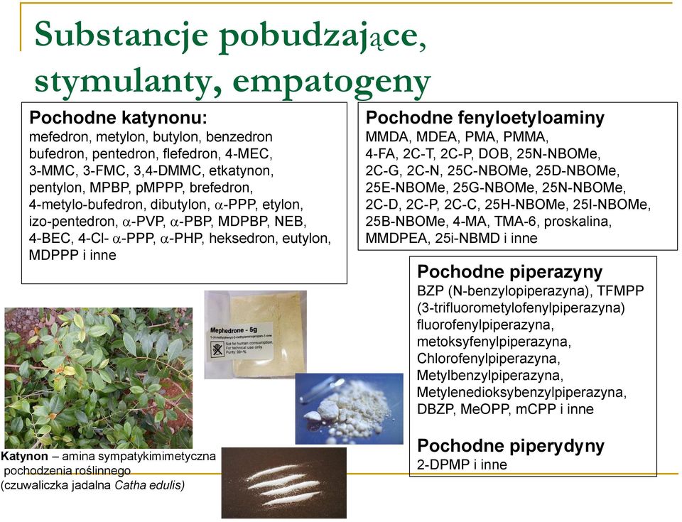 PMA, PMMA, 4-FA, 2C-T, 2C-P, DOB, 25N-NBOMe, 2C-G, 2C-N, 25C-NBOMe, 25D-NBOMe, 25E-NBOMe, 25G-NBOMe, 25N-NBOMe, 2C-D, 2C-P, 2C-C, 25H-NBOMe, 25I-NBOMe, 25B-NBOMe, 4-MA, TMA-6, proskalina, MMDPEA,