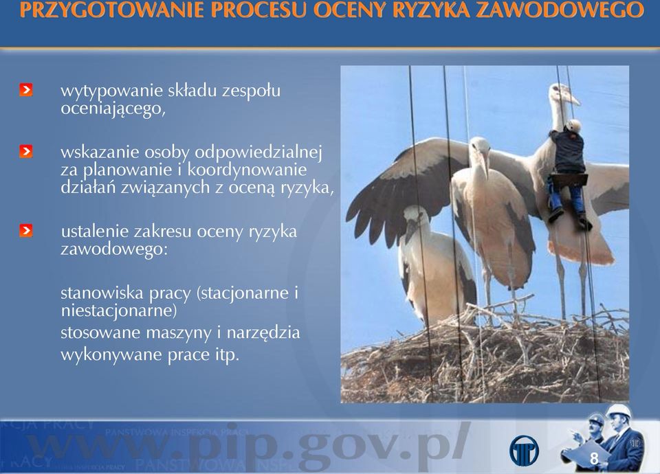 działań związanych z oceną ryzyka, ustalenie zakresu oceny ryzyka zawodowego: