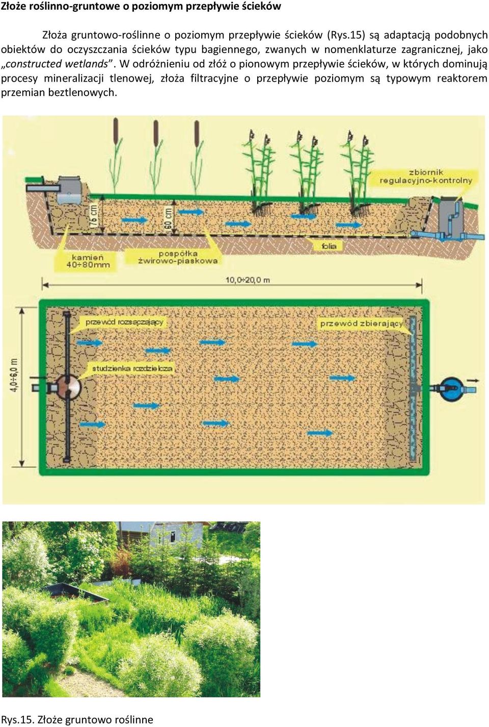 jako constructed wetlands.