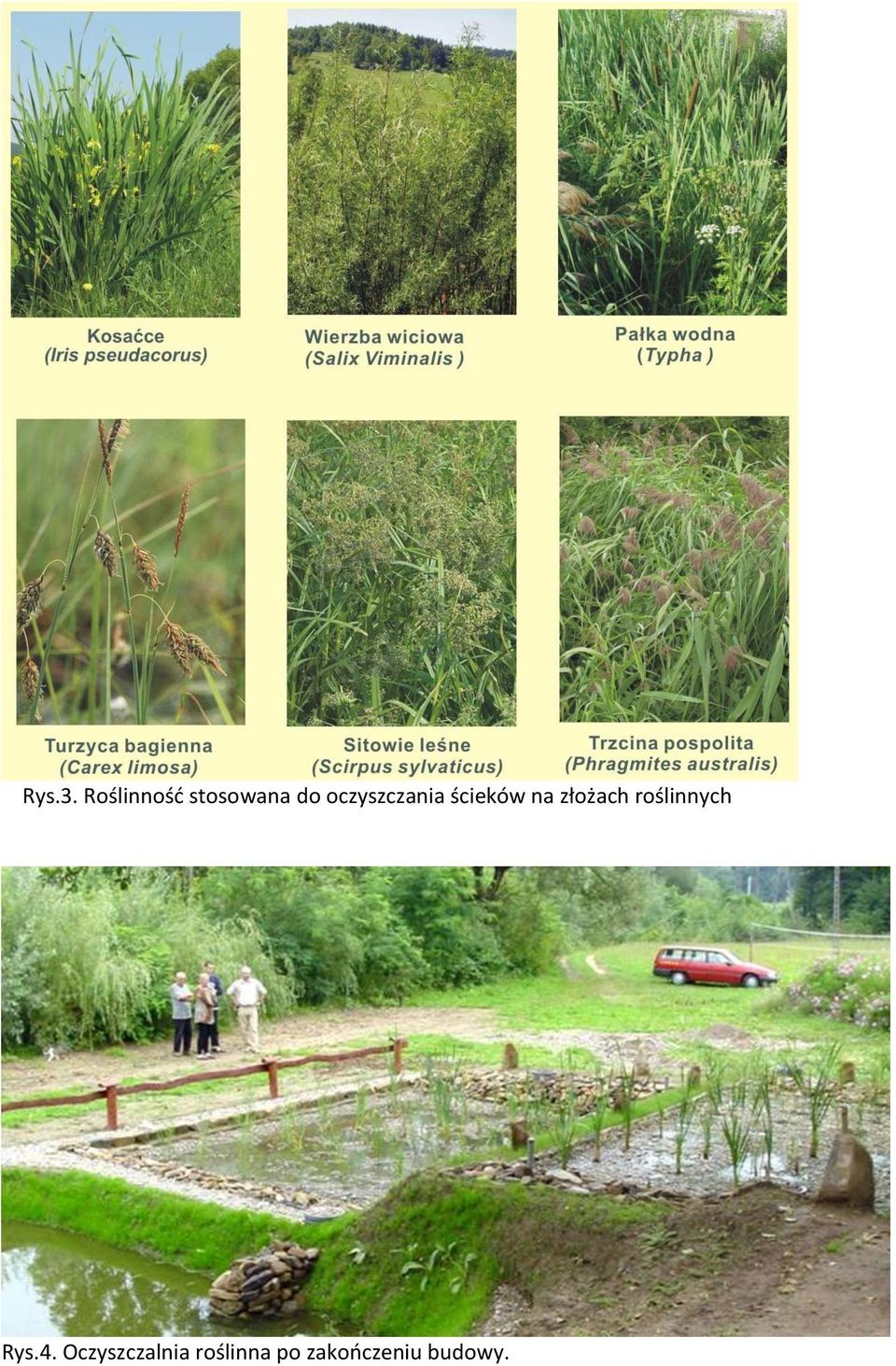 oczyszczania ścieków na złożach