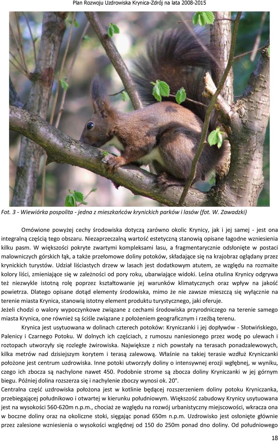 W większości pokryte zwartymi kompleksami lasu, a fragmentarycznie odsłonięte w postaci malowniczych górskich łąk, a także przełomowe doliny potoków, składające się na krajobraz oglądany przez