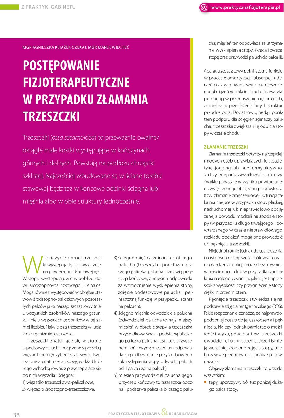 Najczęściej wbudowane są w ścianę torebki stawowej bądź też w końcowe odcinki ścięgna lub mięśnia albo w obie struktury jednocześnie.