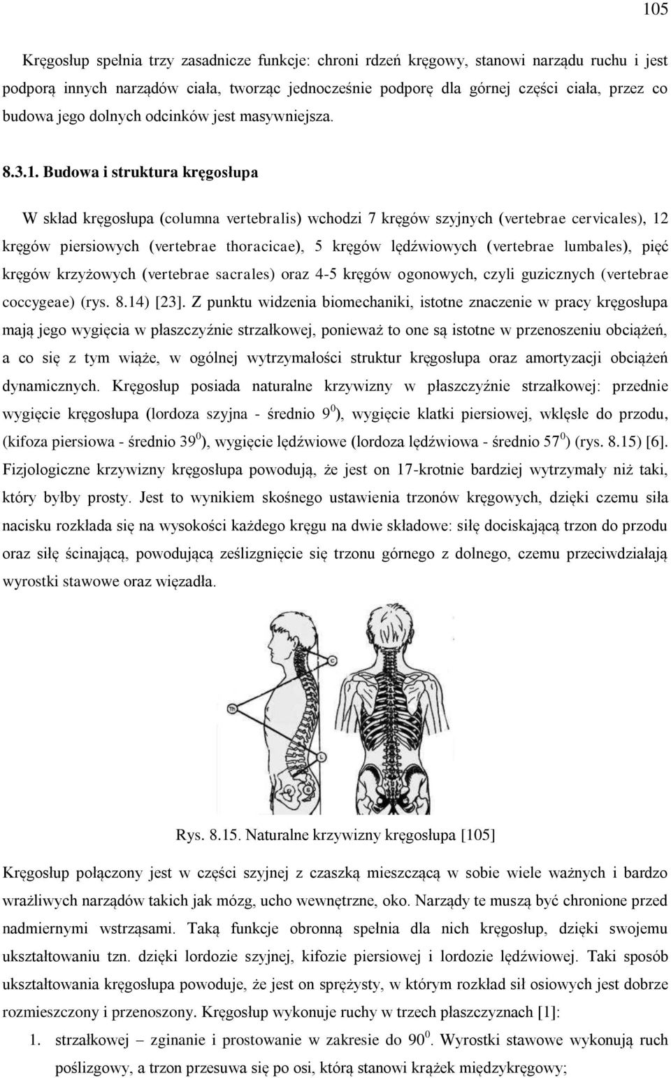Budowa i struktura kręgosłupa W skład kręgosłupa (columna vertebralis) wchodzi 7 kręgów szyjnych (vertebrae cervicales), 12 kręgów piersiowych (vertebrae thoracicae), 5 kręgów lędźwiowych (vertebrae