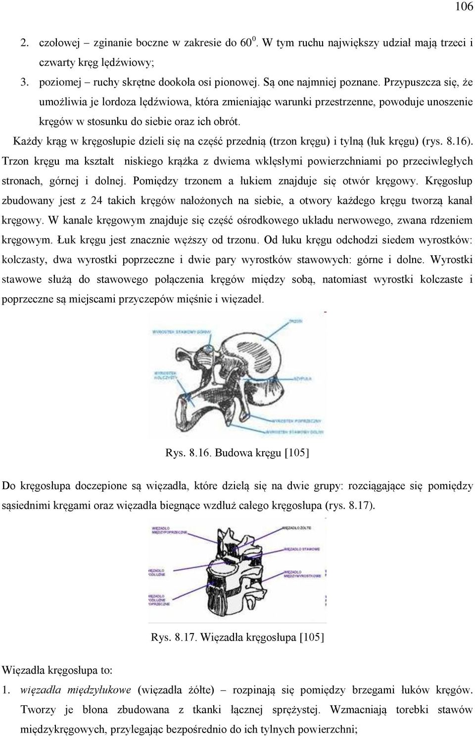 Każdy krąg w kręgosłupie dzieli się na część przednią (trzon kręgu) i tylną (łuk kręgu) (rys. 8.16).