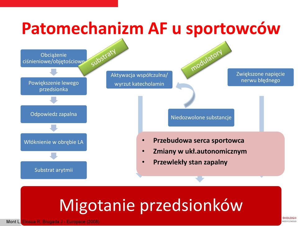 Niedozwolone substancje Włóknienie w obrębie LA Substrat arytmii Przebudowa serca sportowca Zmiany w