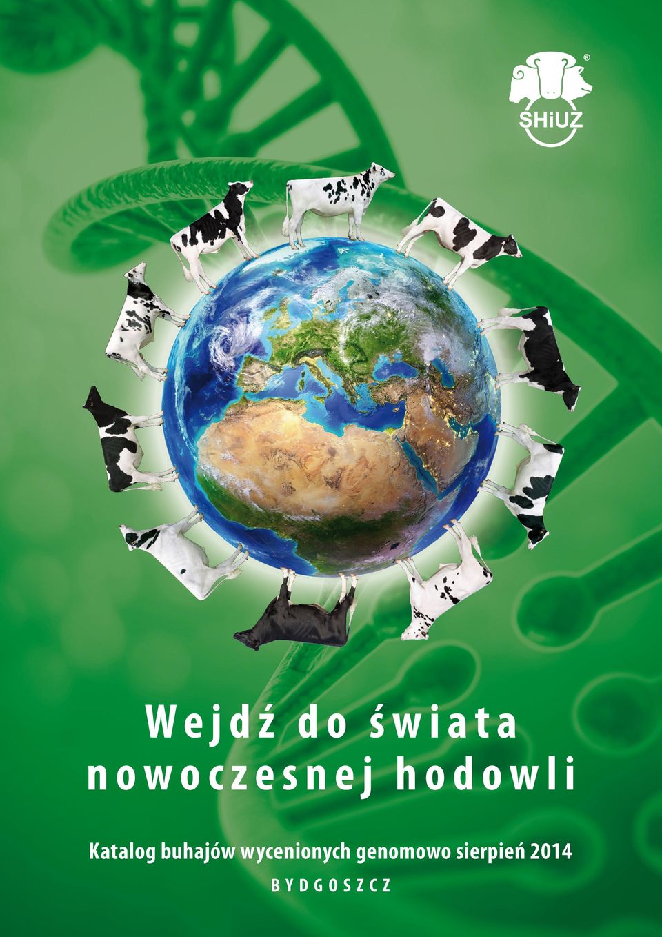 Katalog buhajów