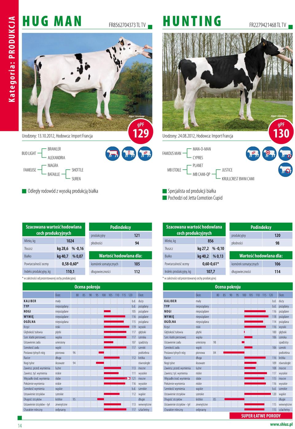 wysoką produkcją białka Specjalista od produkcji białka Pochodzi od Jetta Comotion Cupid Mleko, kg 1024 Tłuszcz kg 28,6 % -0,16 Białko kg 40,7 % 0,07 Powtarzalność oceny 0,58-0,60* Indeks