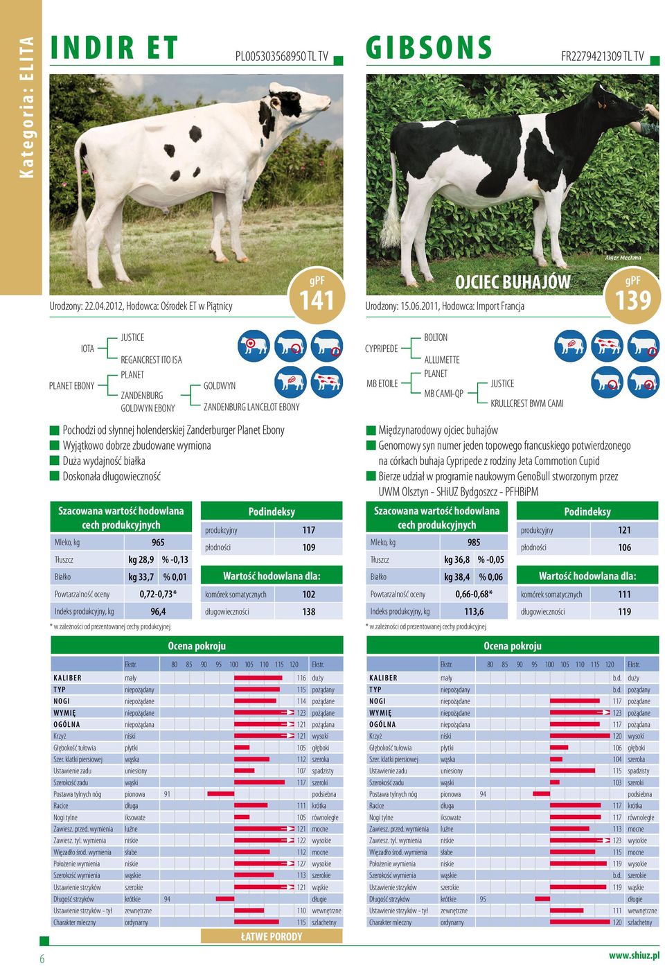 Indeks produkcyjny, kg 96,4 ZANDENBURG LANCELOT EBONY Pochodzi od słynnej holenderskiej Zanderburger Planet Ebony Wyjątkowo dobrze zbudowane wymiona Duża wydajność białka Doskonała długowieczność