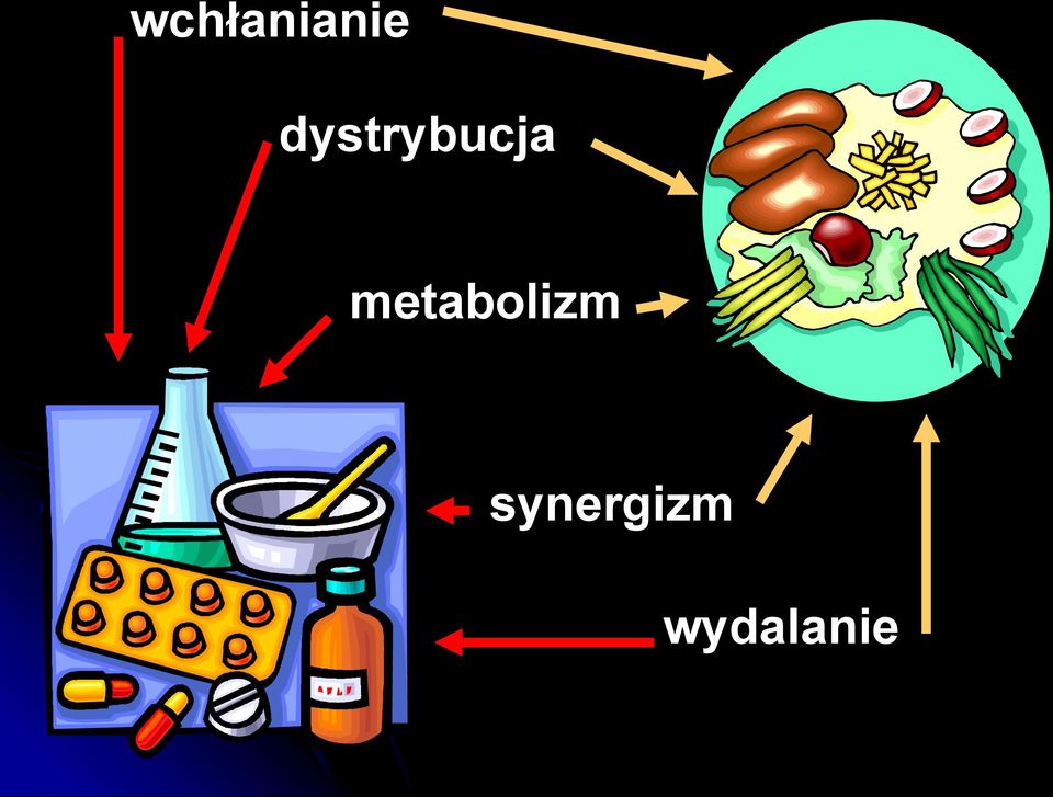 metabolizm