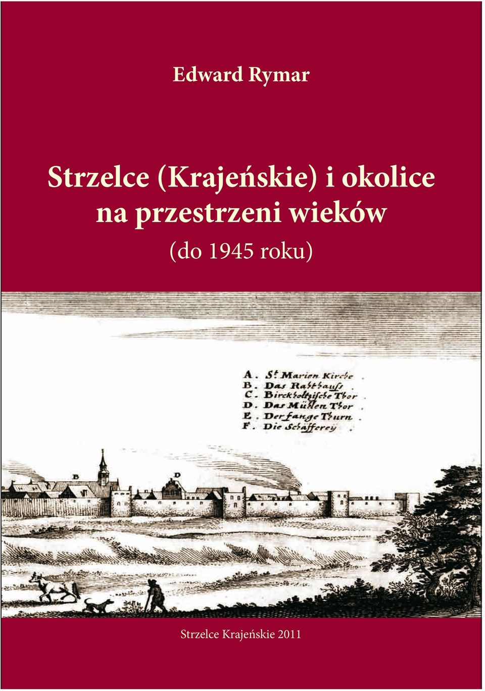 W latach 1997-2009 wykładowca w Instytucie Historii Uniwersytetu Szczecińskiego.