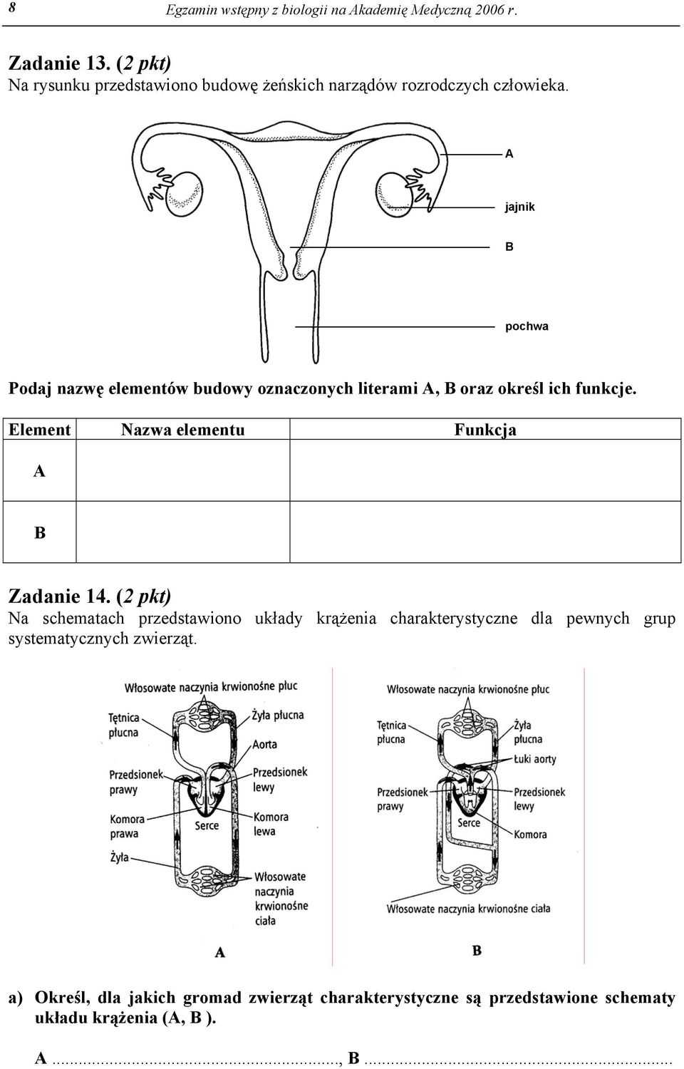 A jajnik B pochwa Podaj nazwę elementów budowy oznaczonych literami A, B oraz określ ich funkcje.