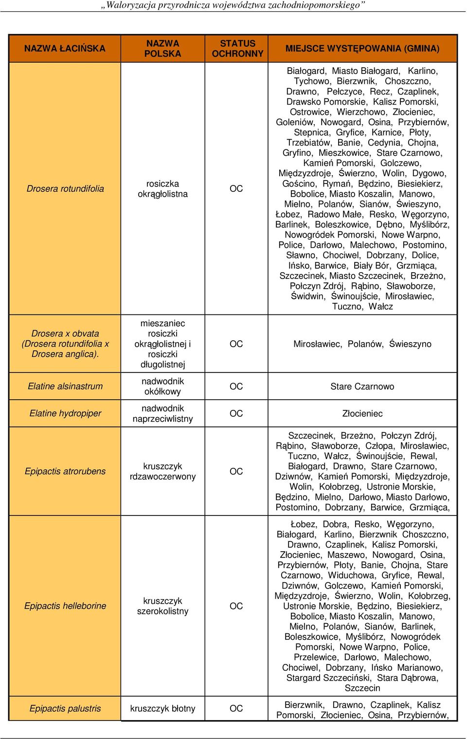 naprzeciwlistny kruszczyk rdzawoczerwony kruszczyk szerokolistny HRONNY Epipactis palustris kruszczyk błotny Białogard, Miasto Białogard, Karlino, Tychowo, Bierzwnik, Choszczno, Drawno, Pełczyce,