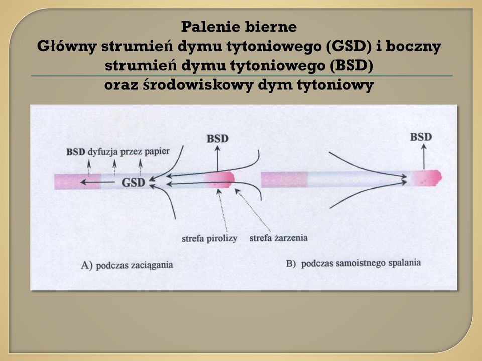 strumień dymu tytoniowego (BSD)