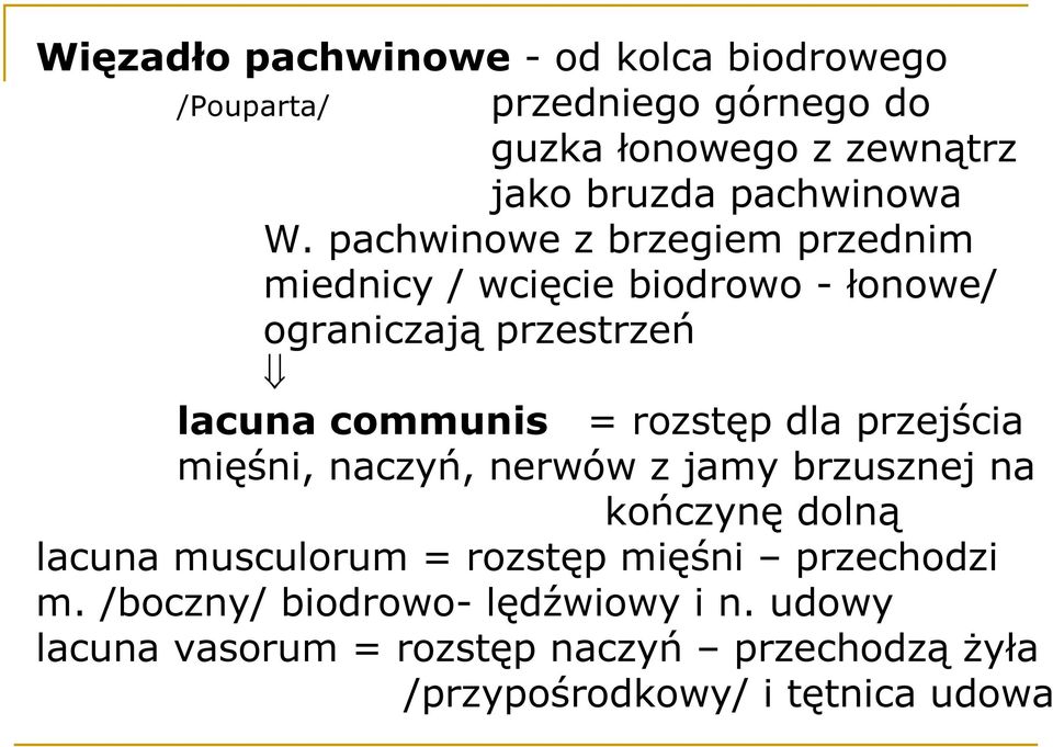 pachwinowe z brzegiem przednim miednicy / wcięcie biodrowo - łonowe/ ograniczają przestrzeń lacuna communis = rozstęp dla