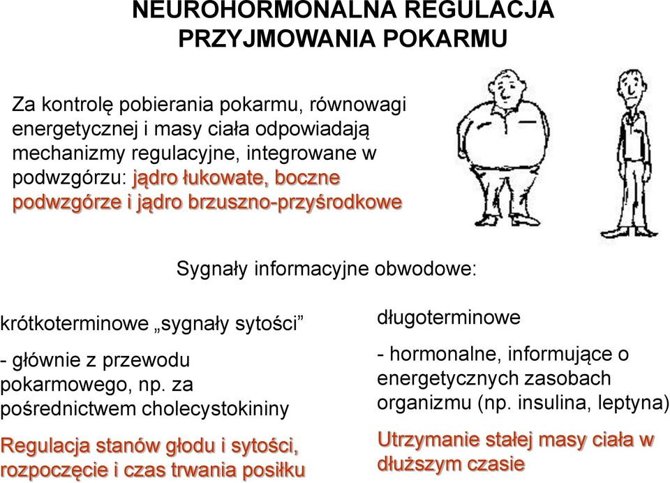 krótkoterminowe sygnały sytości - głównie z przewodu pokarmowego, np.