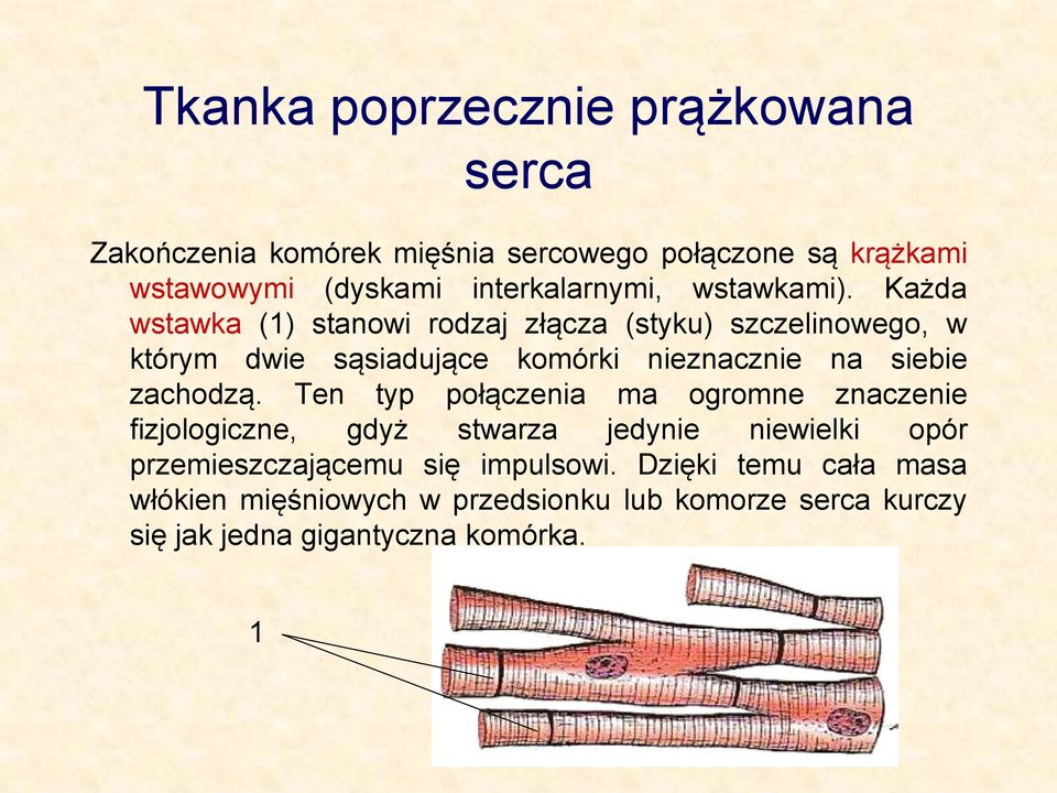 Każda wstawka (1) stanowi rodzaj złącza (styku) szczelinowego, w którym dwie sąsiadujące komórki nieznacznie na siebie zachodzą.