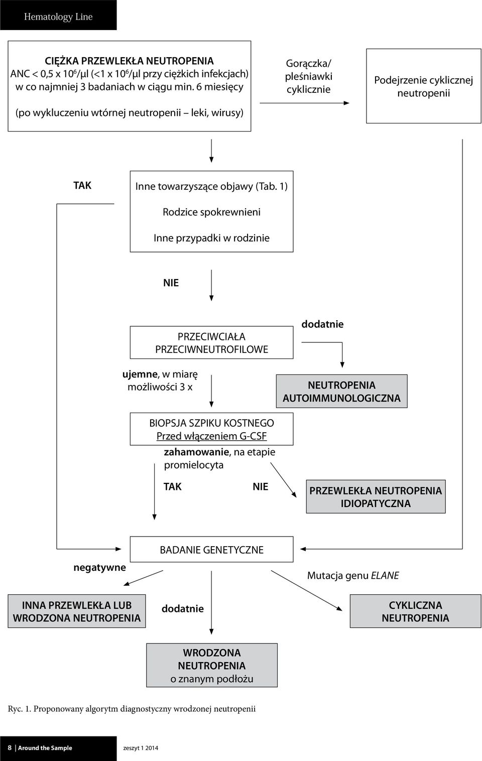 1) Rodzice spokrewnieni Inne przypadki w rodzinie NIE PRZECIWCIAŁA PRZECIWNEUTROFILOWE ujemne, w miarę możliwości 3 x dodatnie NEUTROPENIA AUTOIMMUNOLOGICZNA BIOPSJA SZPIKU KOSTNEGO Przed włączeniem