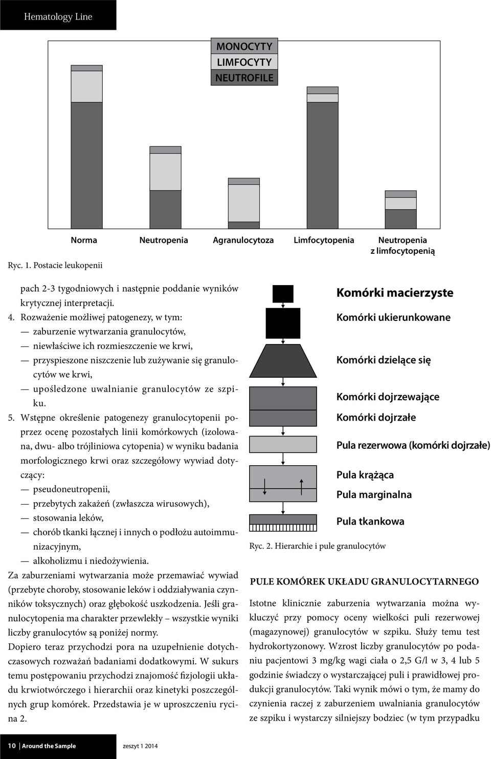 Rozważenie możliwej patogenezy, w tym: zaburzenie wytwarzania granulocytów, niewłaściwe ich rozmieszczenie we krwi, przyspieszone niszczenie lub zużywanie się granulocytów we krwi, upośledzone