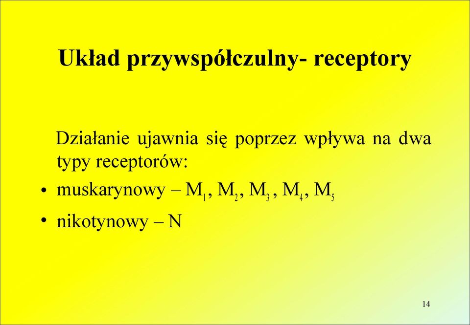 na dwa typy receptorów: muskarynowy