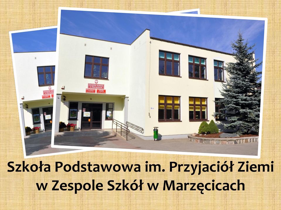 Przyjaciół Ziemi