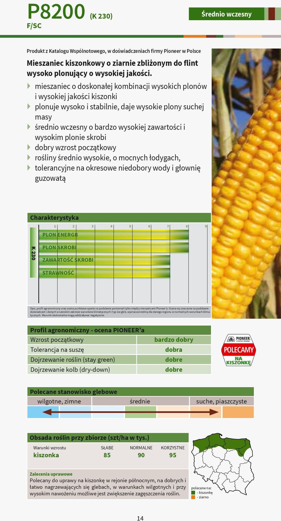 skrobi dobry wzrost początkowy rośliny średnio wysokie, o mocnych łodygach, tolerancyjne na okresowe niedobory wody i głownię guzowatą PLON ENERGII K 230 PLON SKROBI ZAWARTOŚĆ SKROBI STRAWNOŚĆ bardzo