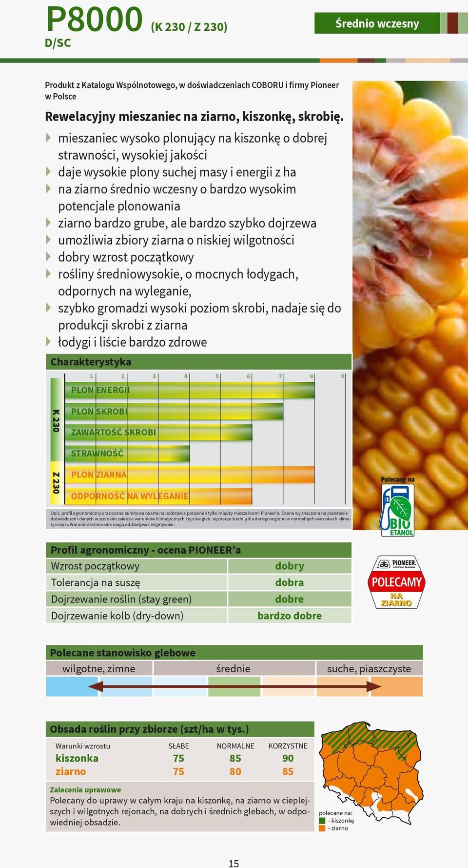 grube, ale bardzo szybko dojrzewa umożliwia zbiory ziarna o niskiej wilgotności dobry wzrost początkowy rośliny średniowysokie, o mocnych łodygach, odpornych na wyleganie, szybko gromadzi wysoki