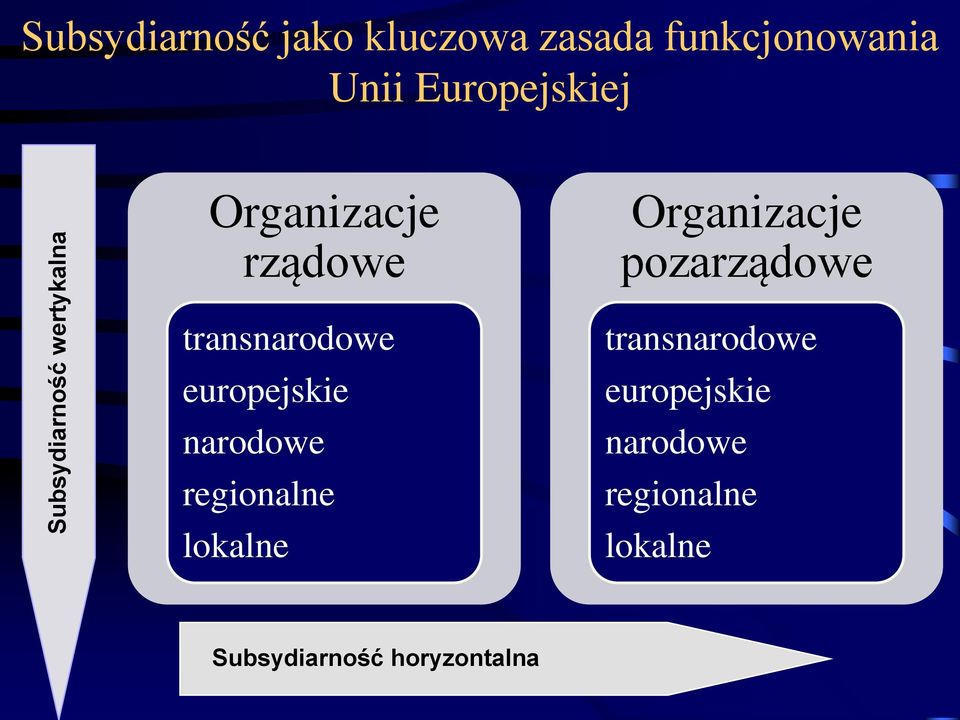 pozarządowe transnarodowe europejskie narodowe regionalne lokalne