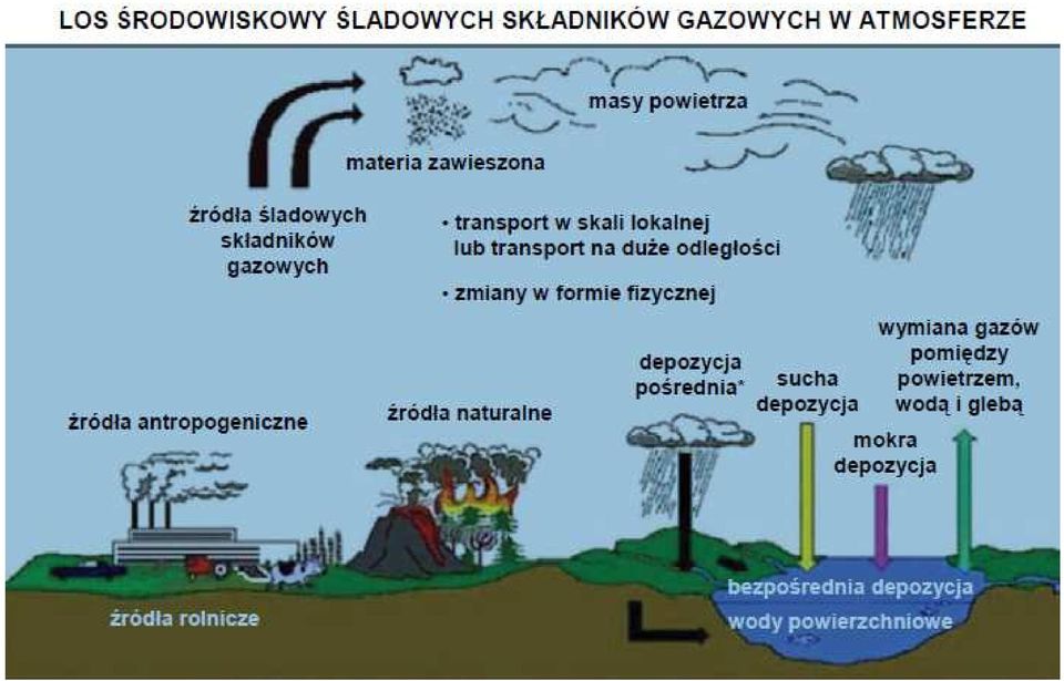 Jak Powstają Kwaśne Deszcze I Jaki Mają Wpływ Na środowisko Wpływ substancji antropogenicznych na środowisko: eutrofizacja, efekt