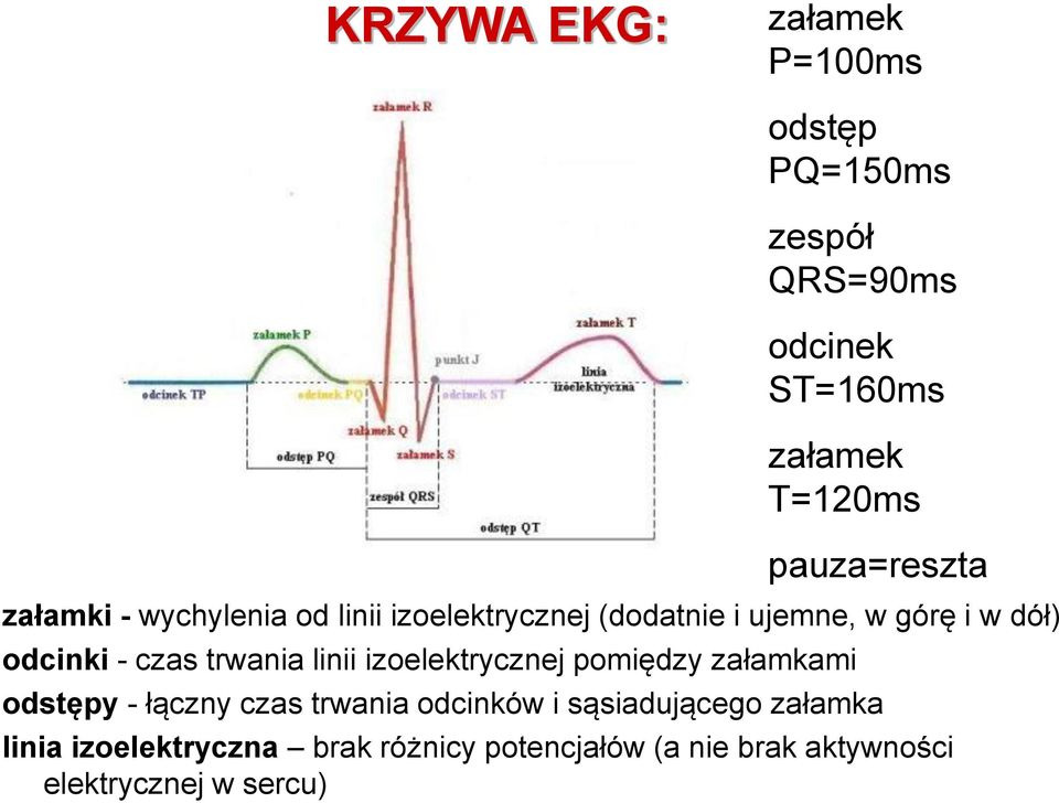 odcinki - czas trwania linii izoelektrycznej pomiędzy załamkami odstępy - łączny czas trwania