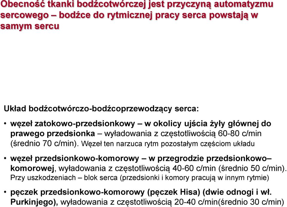 Węzeł ten narzuca rytm pozostałym częściom układu węzeł przedsionkowo-komorowy w przegrodzie przedsionkowo komorowej, wyładowania z częstotliwością 40-60 c/min (średnio 50