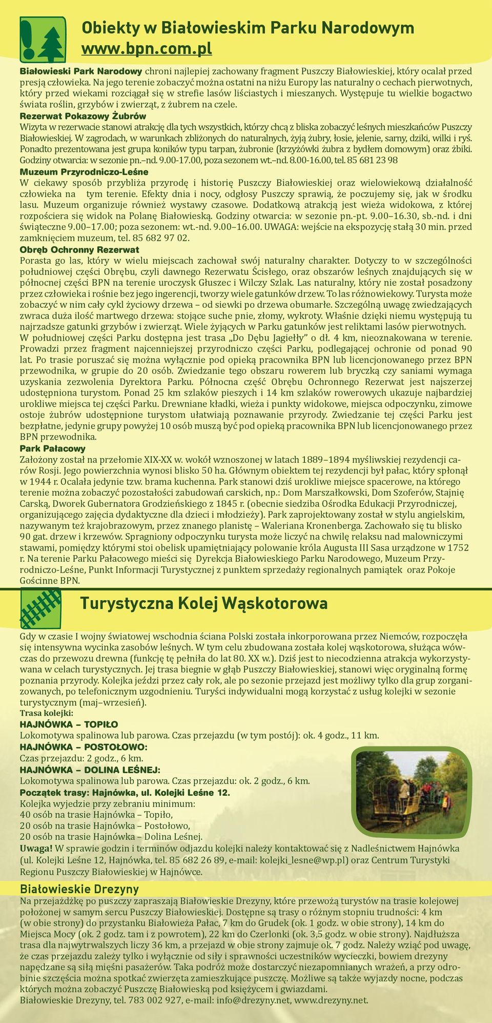 Występuje tu wielkie bogactwo świata roślin, grzybów i zwierząt, z żubrem na czele.