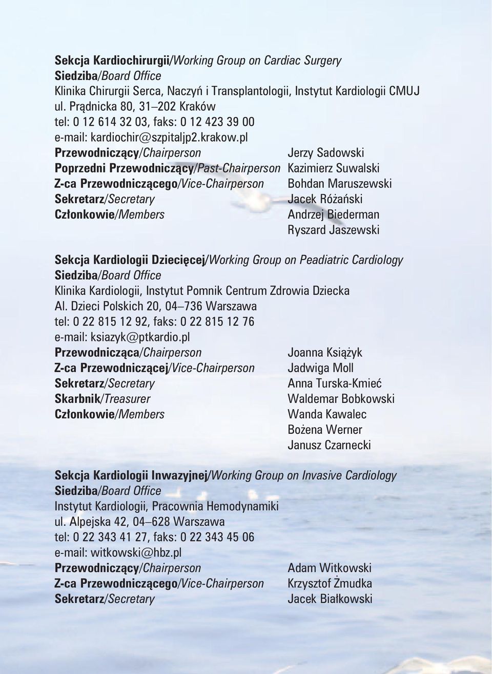 pl Jerzy Sadowski Poprzedni Przewodniczący/Past-Chairperson Kazimierz Suwalski Z-ca Przewodniczącego/Vice-Chairperson Bohdan Maruszewski Jacek Różański Andrzej Biederman Ryszard Jaszewski Sekcja