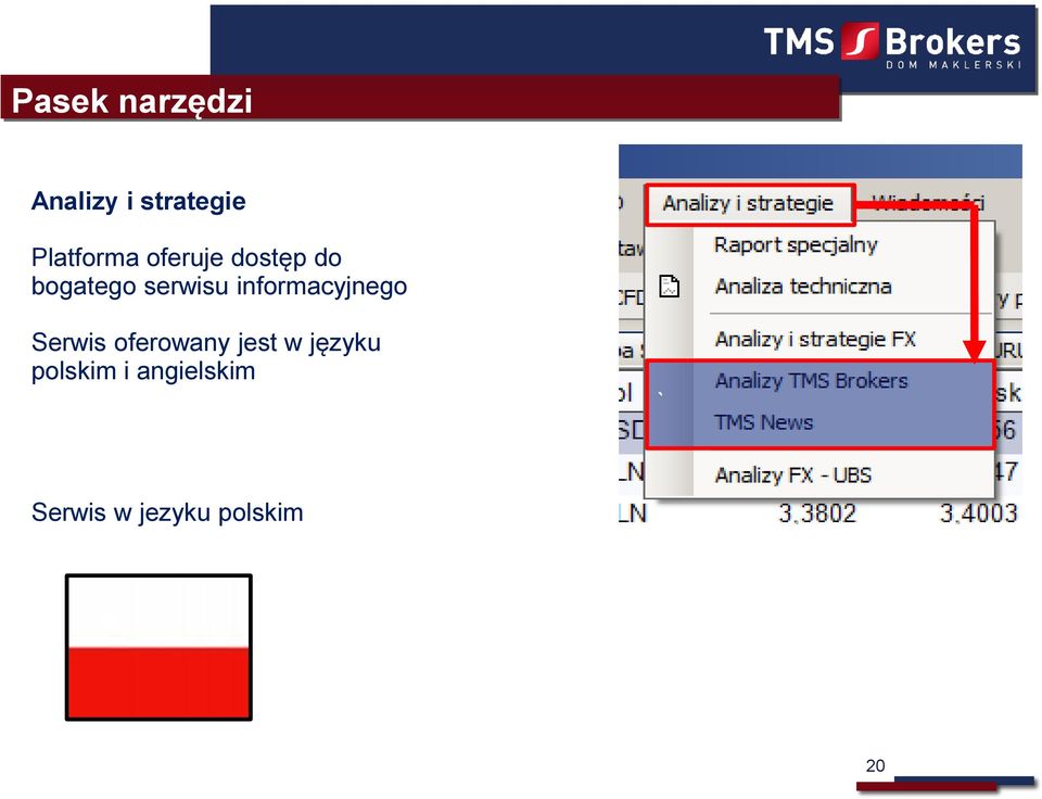 serwisu informacyjnego Serwis oferowany