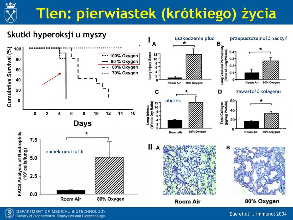 przepuszczalność naczyń obrzęk zawartość