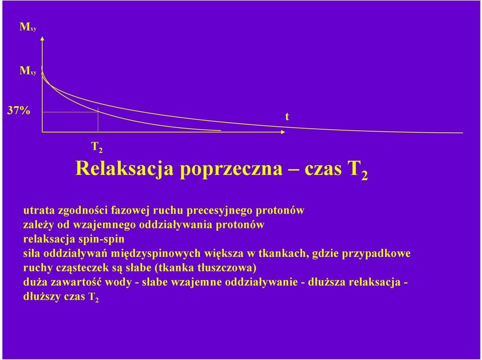 międzyspinowych większa w tkankach, gdzie przypadkowe ruchy cząsteczek są słabe (tkanka