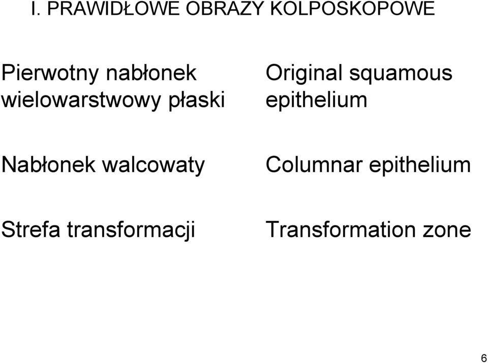 squamous epithelium Nabłonek walcowaty