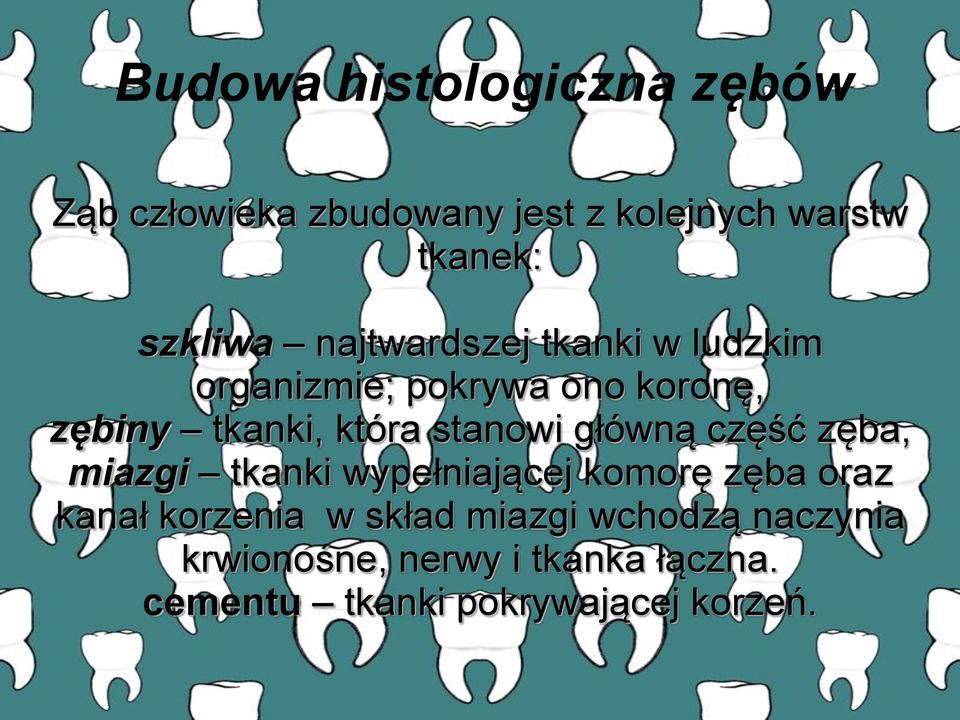 główną część zęba, miazgi tkanki wypełniającej komorę zęba oraz kanał korzenia w skład