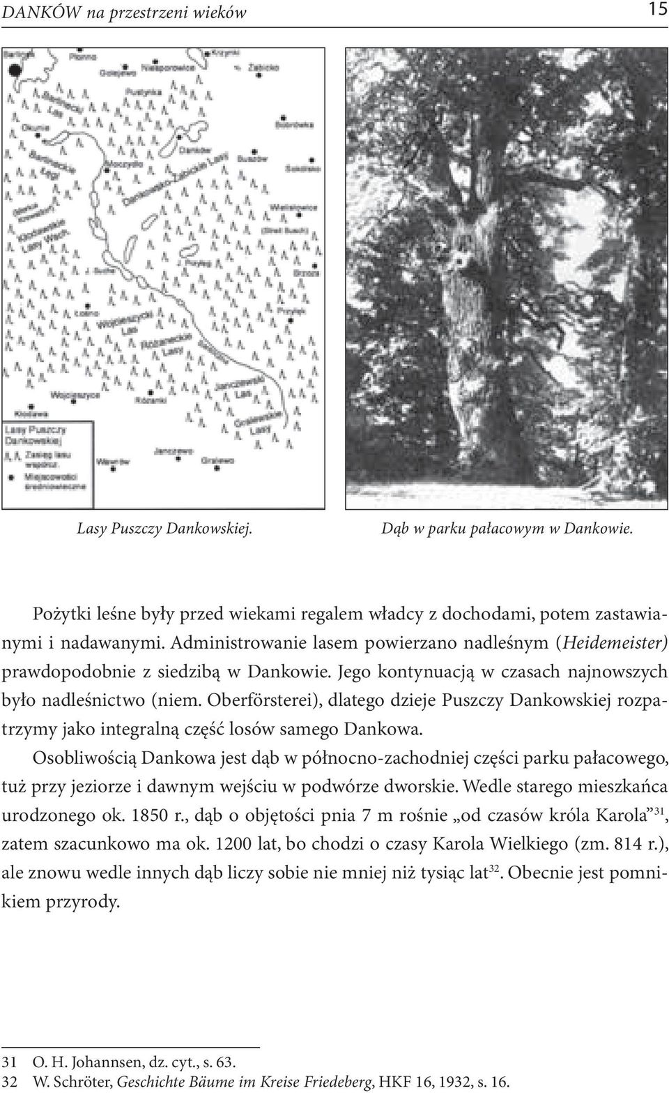 Oberförsterei), dlatego dzieje Puszczy Dankowskiej rozpatrzymy jako integralną część losów samego Dankowa.