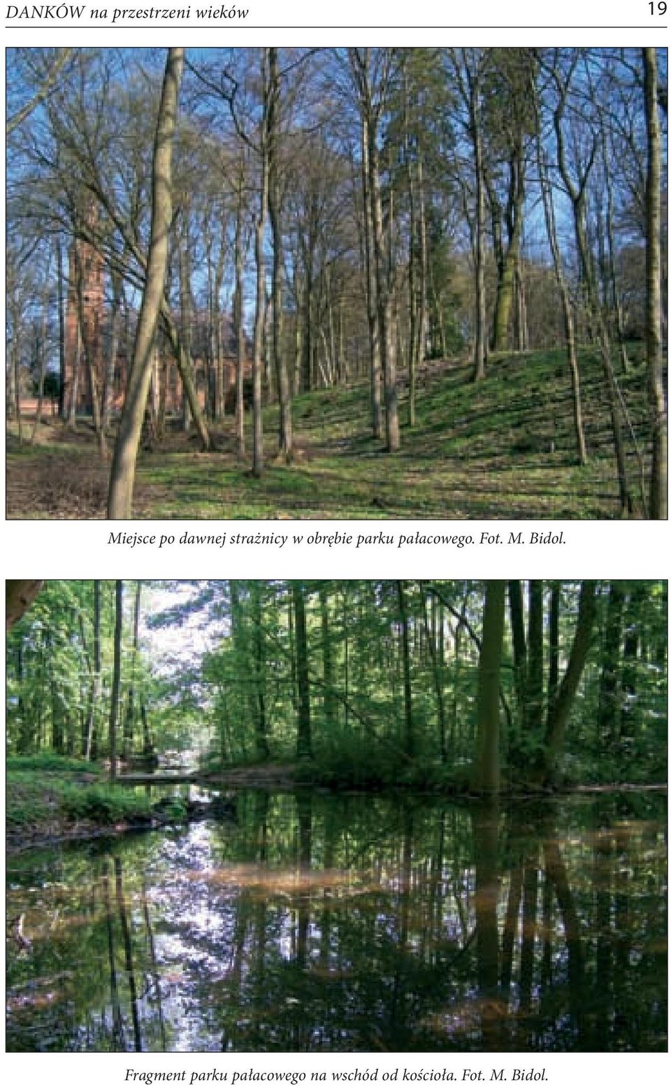 pałacowego. Fot. M. Bidol.