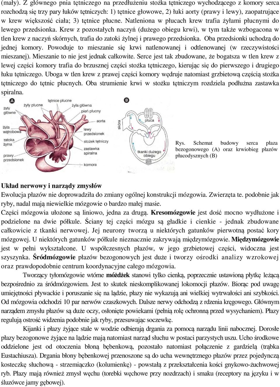krew większość ciała; 3) tętnice płucne. Natleniona w płucach krew trafia żyłami płucnymi do lewego przedsionka.