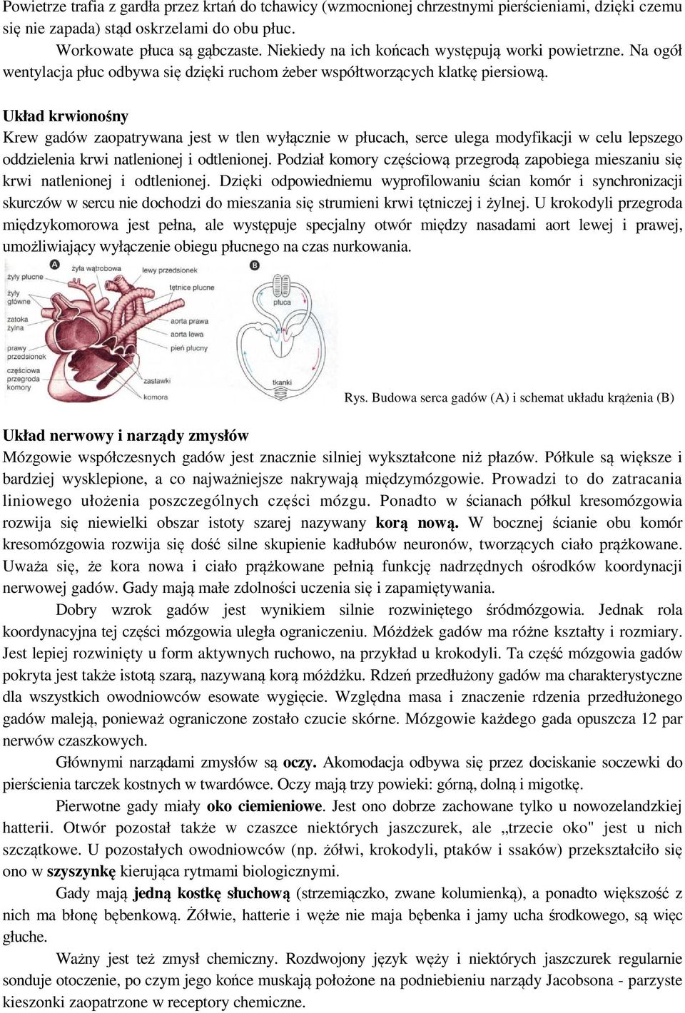 Układ krwionośny Krew gadów zaopatrywana jest w tlen wyłącznie w płucach, serce ulega modyfikacji w celu lepszego oddzielenia krwi natlenionej i odtlenionej.