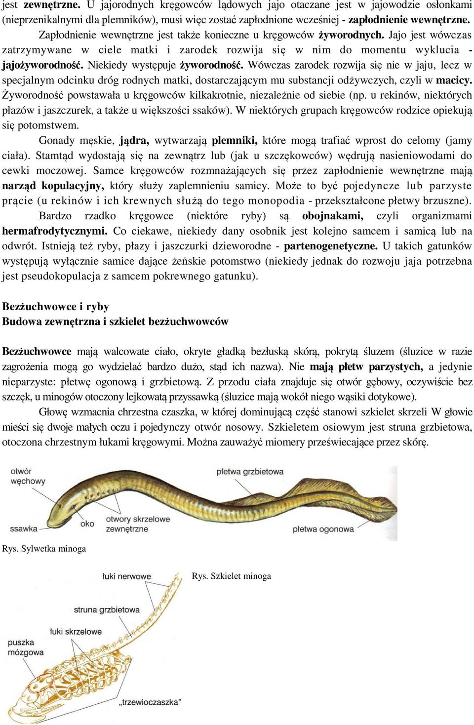 Niekiedy występuje żyworodność. Wówczas zarodek rozwija się nie w jaju, lecz w specjalnym odcinku dróg rodnych matki, dostarczającym mu substancji odżywczych, czyli w macicy.