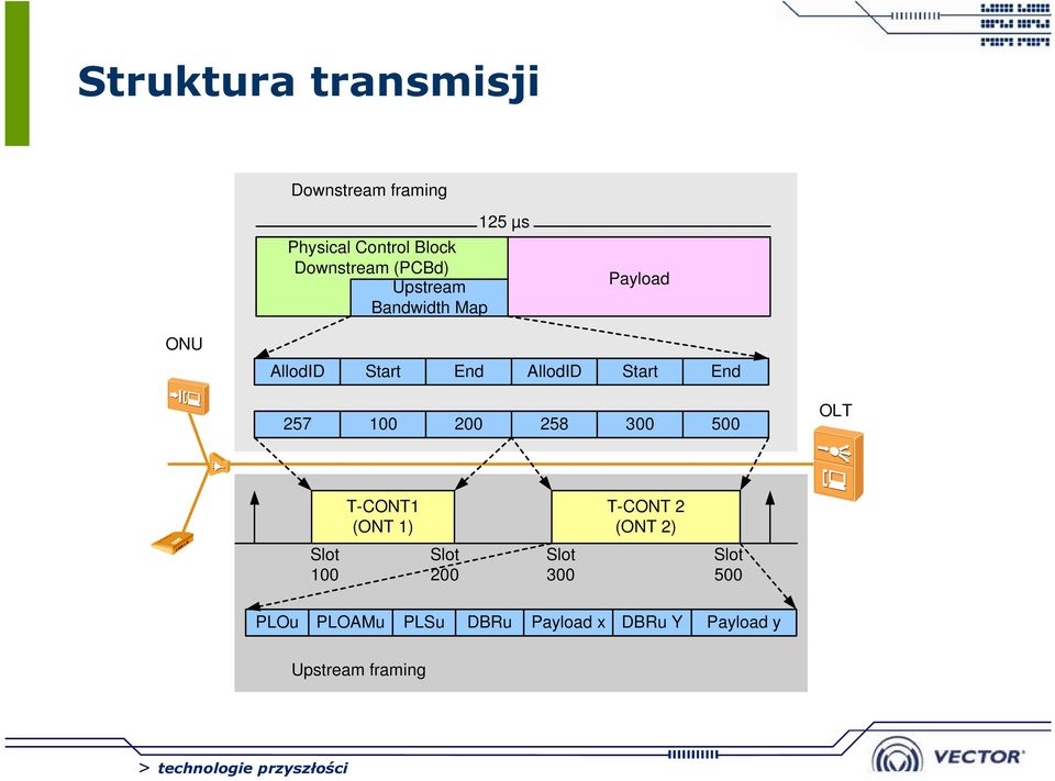 257 100 200 258 300 500 OLT T-CONT1 (ONT 1) T-CONT 2 (ONT 2) Slot 100 Slot 200