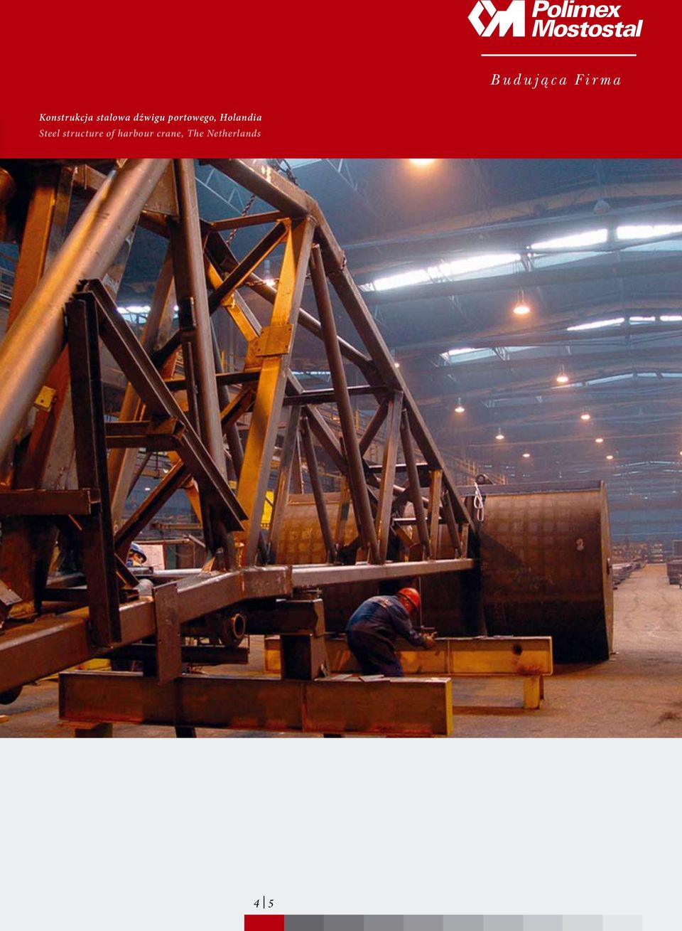 Holandia Steel structure