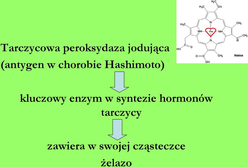 kluczowy enzym w syntezie hormonów