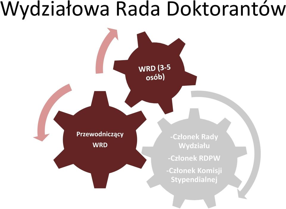 Rady Wydziału -Członek RDPW