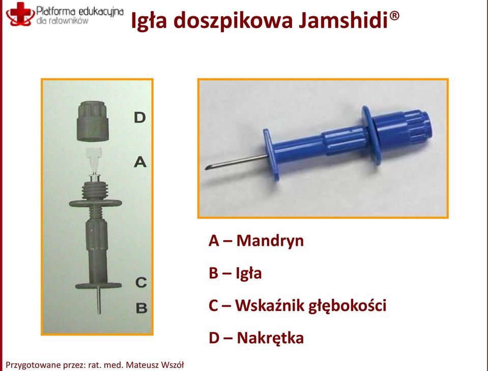 Jamshidi A Mandryn B Igła C